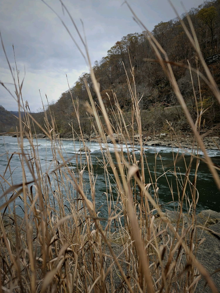 The views at the river