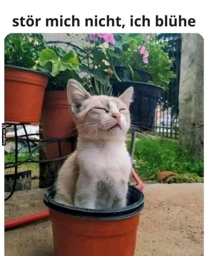 😂