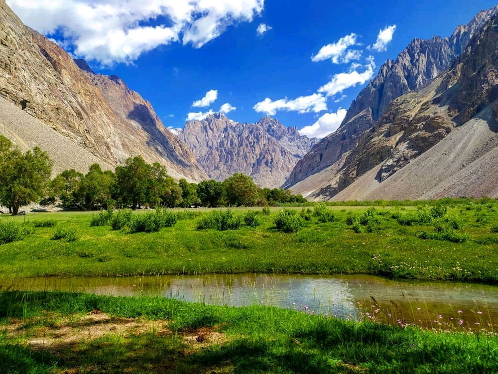 Guess this place