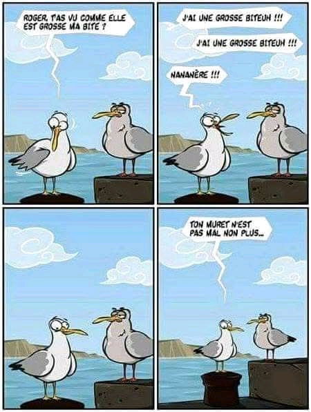 😂