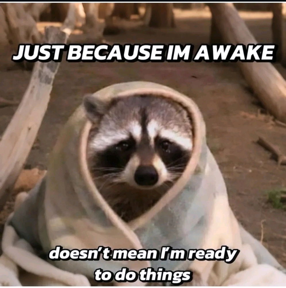 Awakening 🦝✨