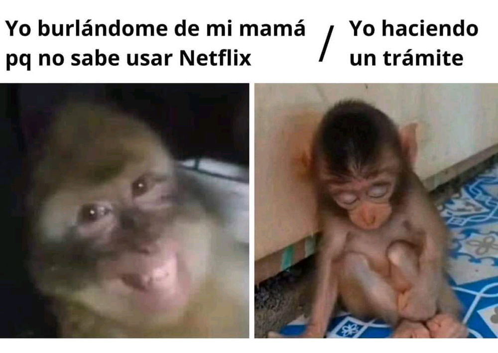 XD