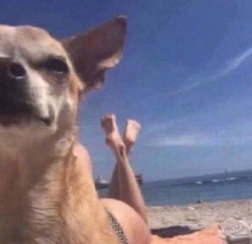 🏖️