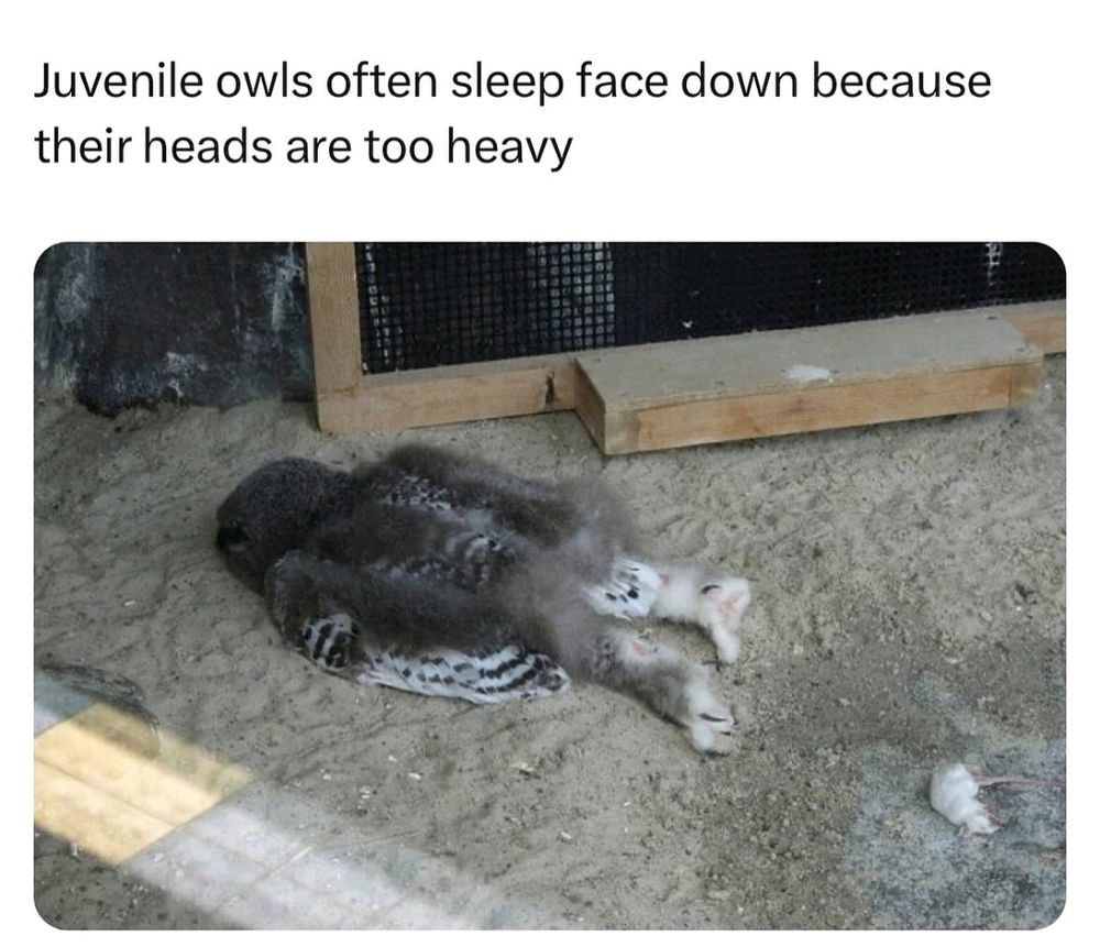 Same