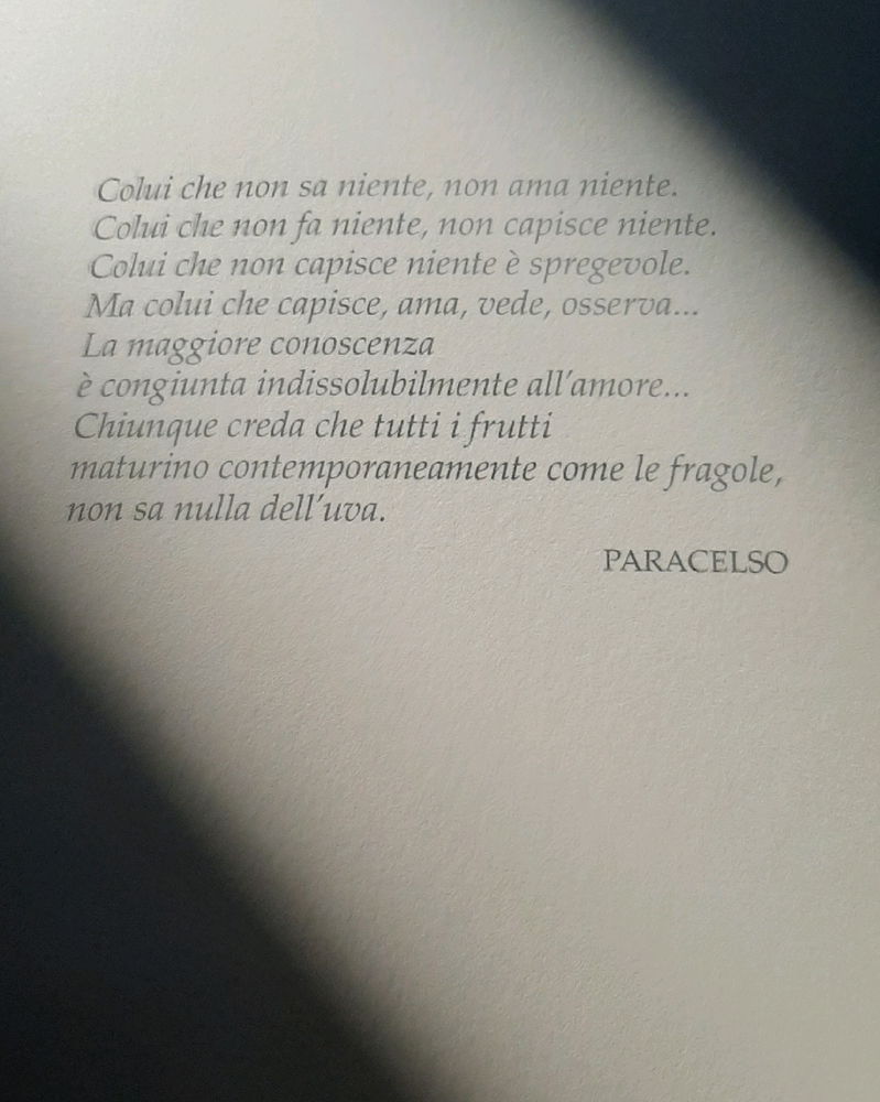 Pensiero del giorno