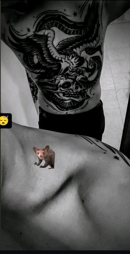 😴