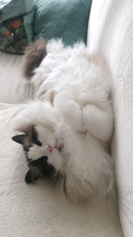 🥰🥰🥰
