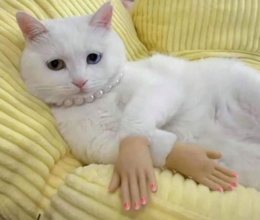 💅🏾