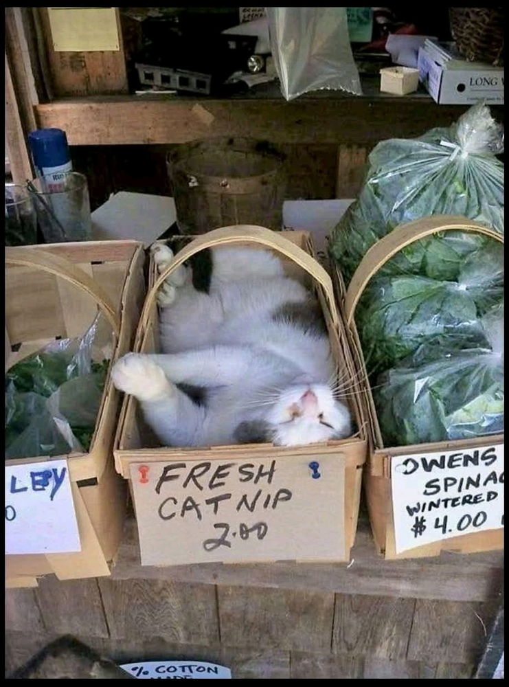 One single customer bought it all.