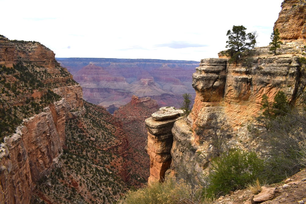 The Bright Angel trail is a beautiful one!