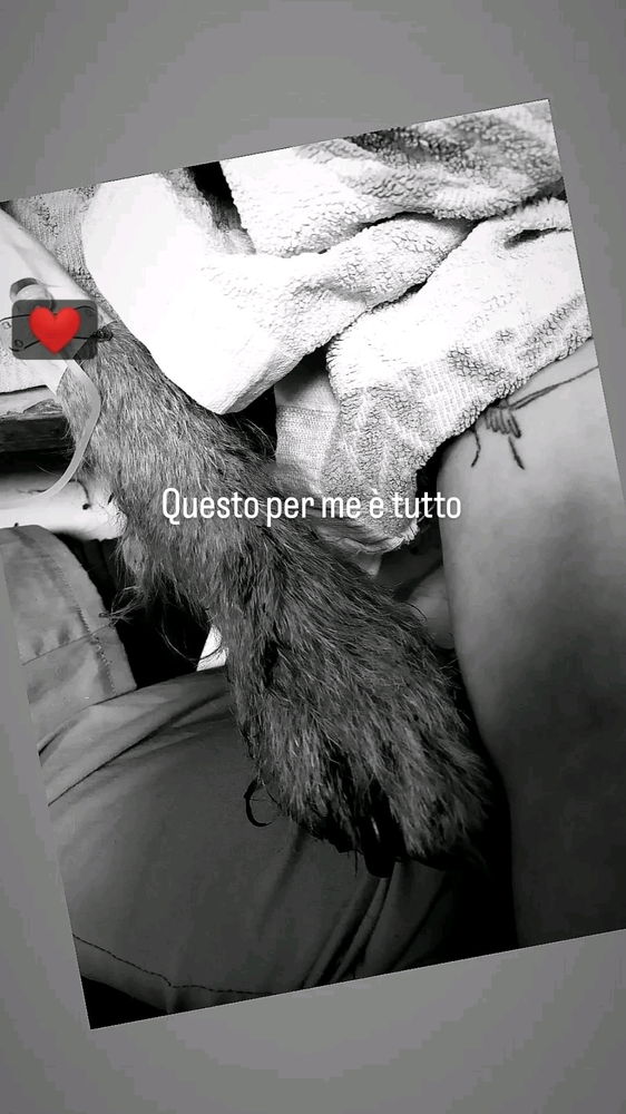 Il mio amore più grande