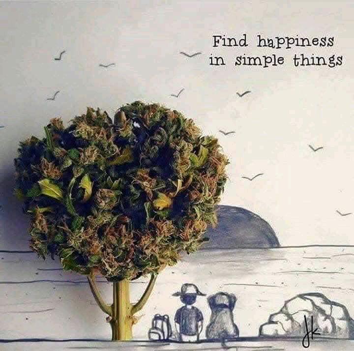 🚬🌱🙃