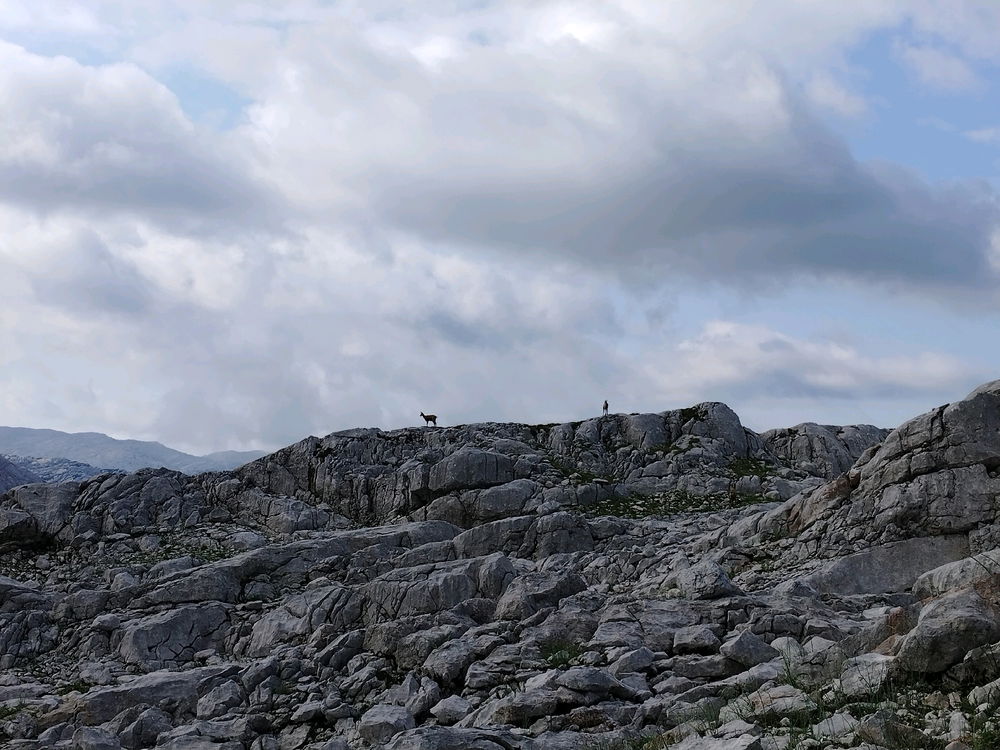 Totes Gebirge