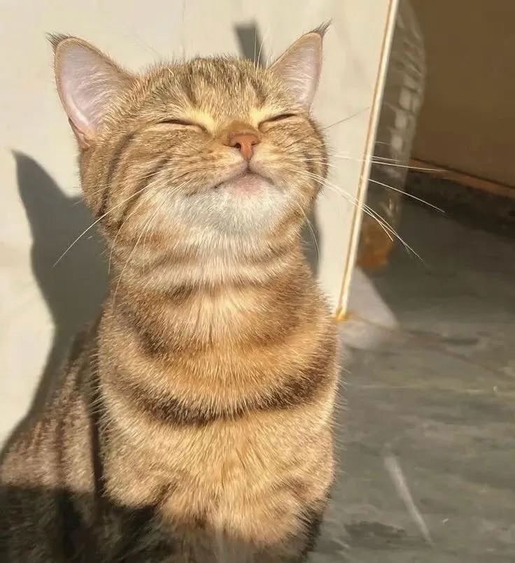 🙂