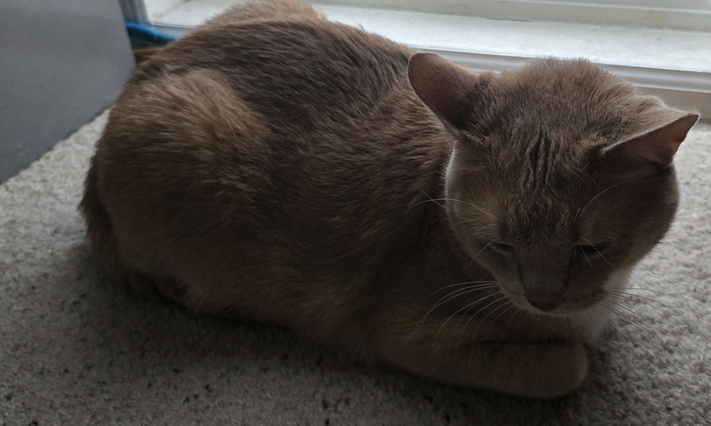 *loaf*