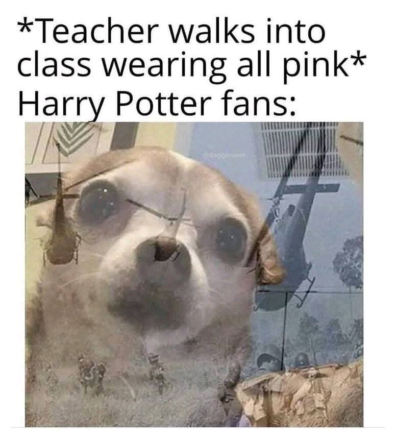 💖🪄