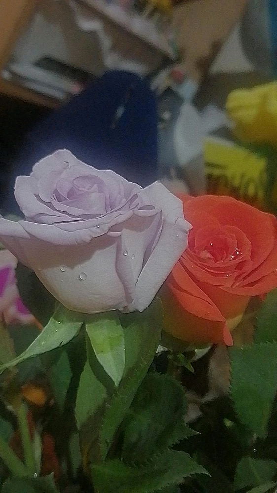 Flores 💗