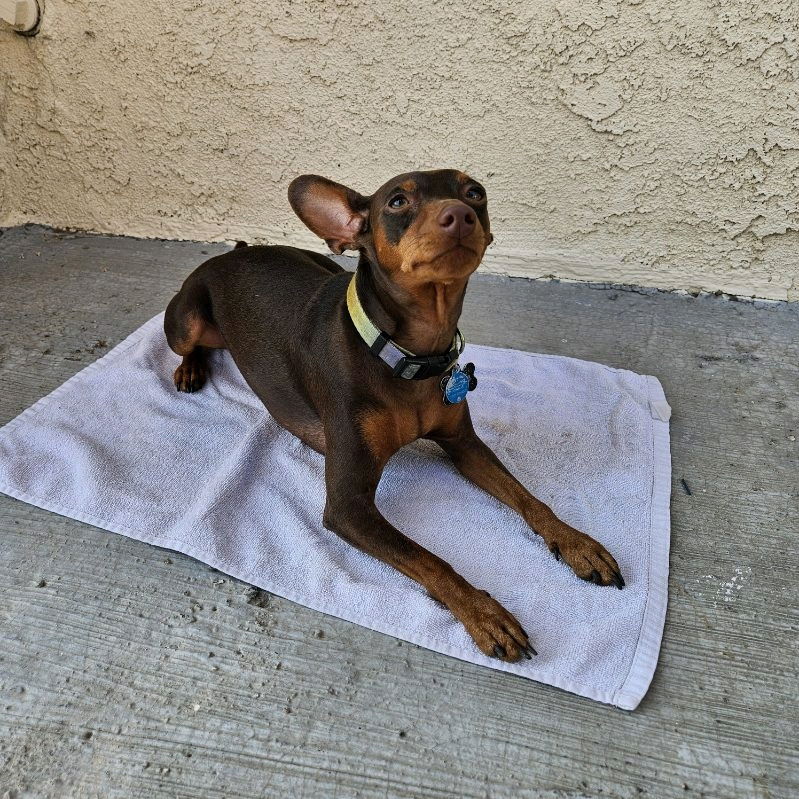 Meet Hades