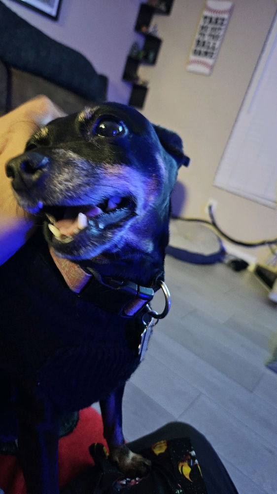 Meet Gaia