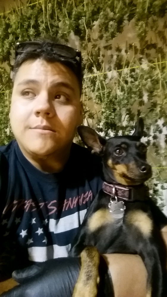 Meet Gaia
