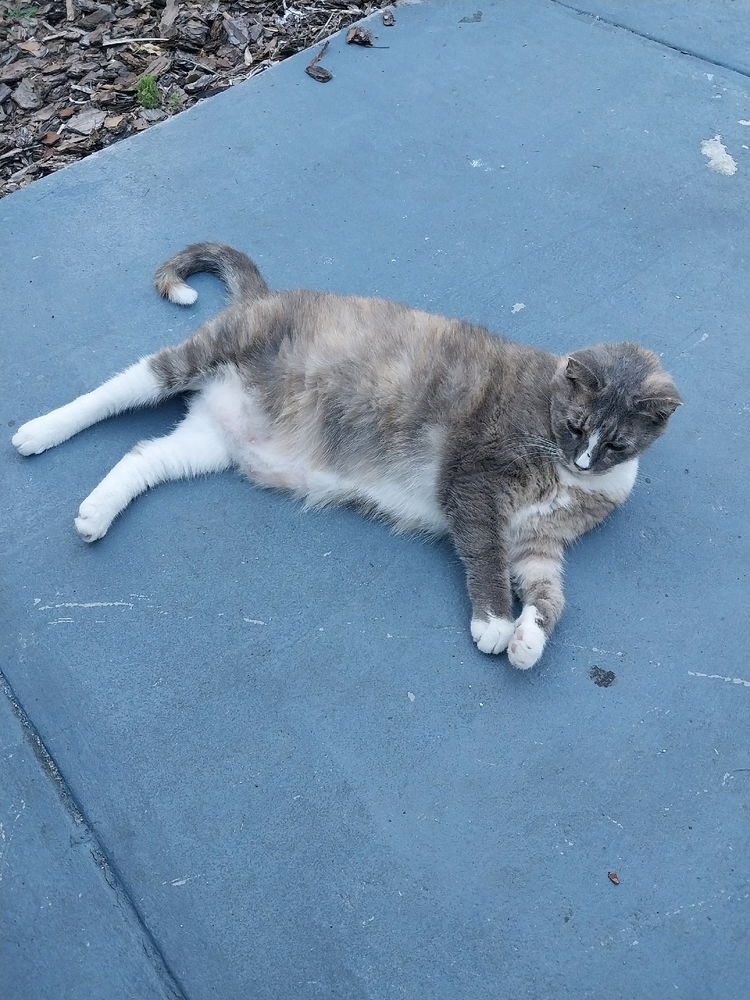 Chilling outside
