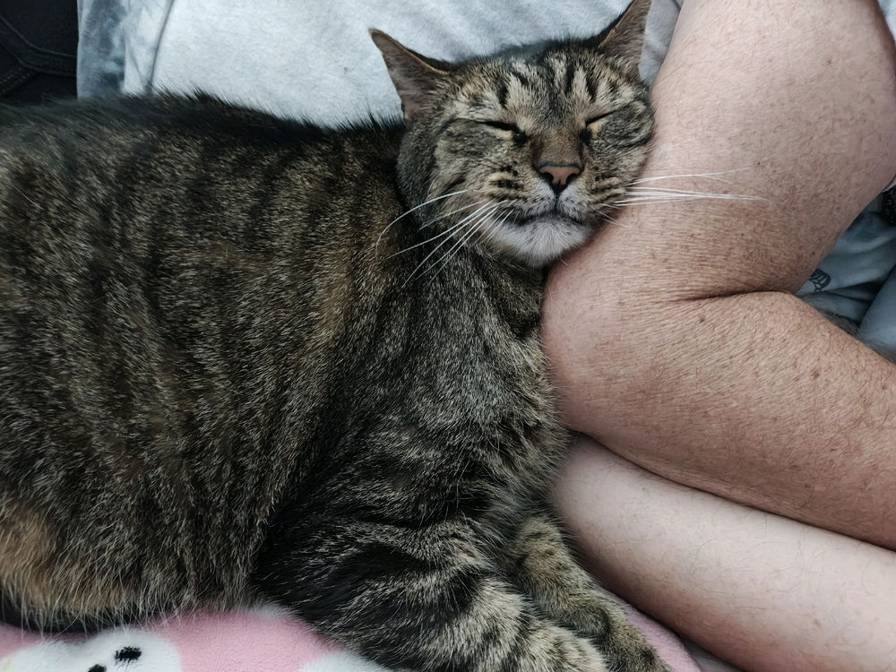 Sleepy boi 💤
