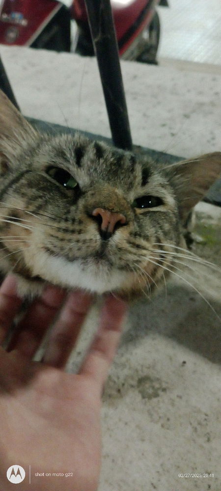 MICHI!