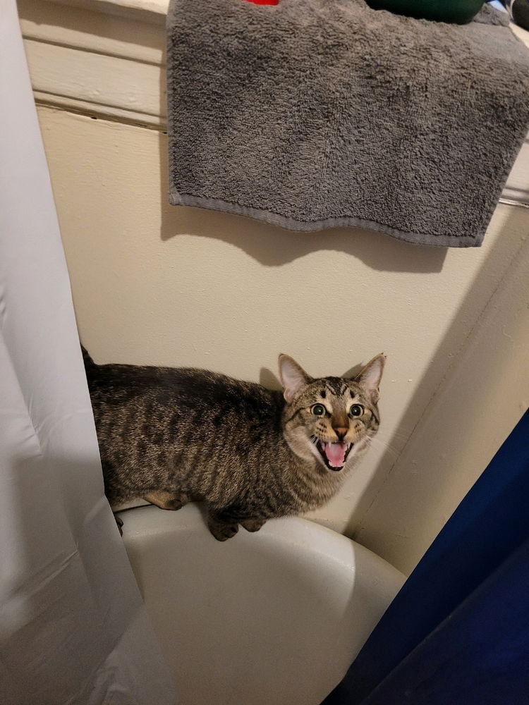Can't Even Shower in Peace