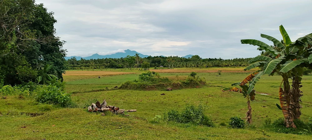 Province view🥰