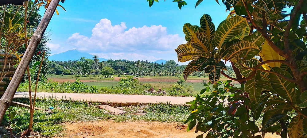 Province view🥰