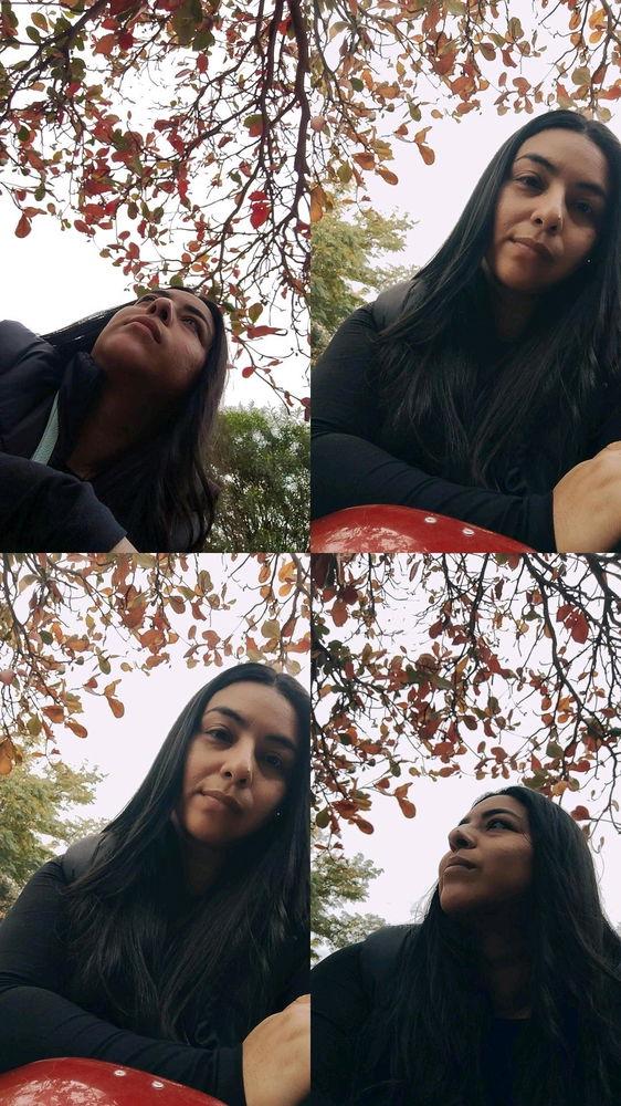 🍂