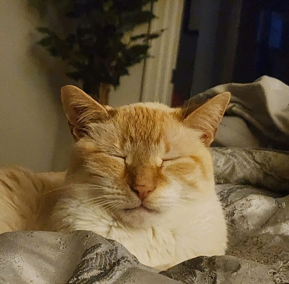 😑