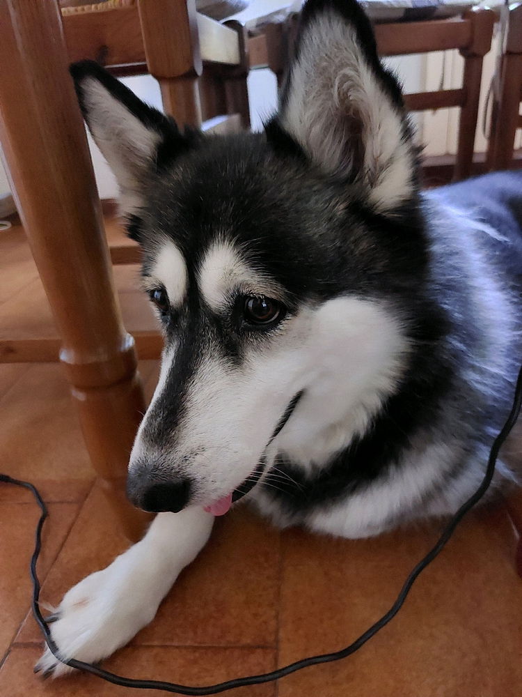 Aika