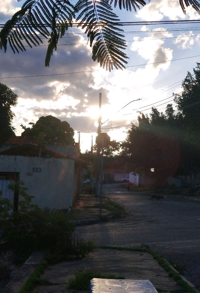 Só uma foto