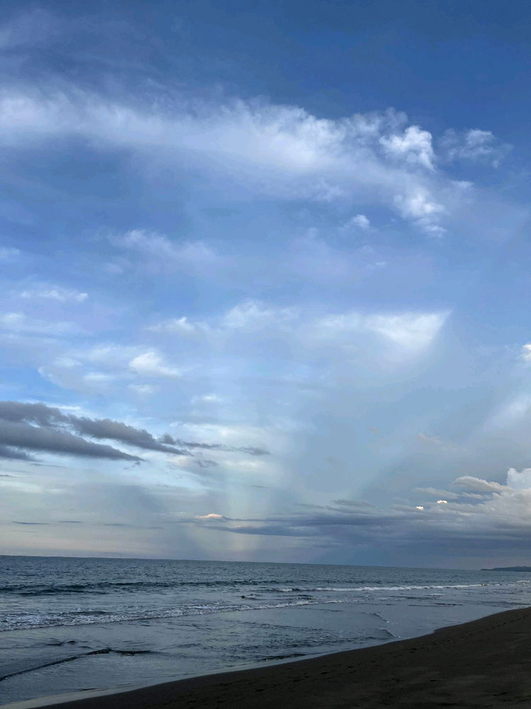 🌊🐚💙