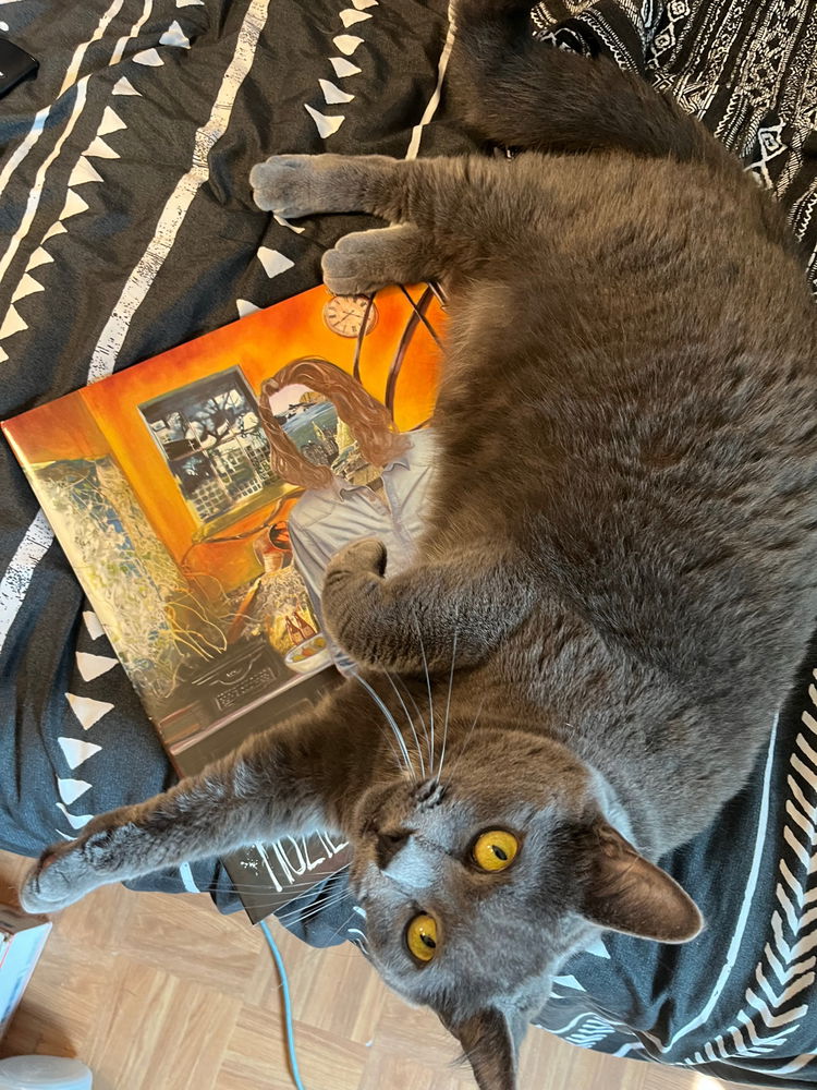 Sequoia likes Hozier
