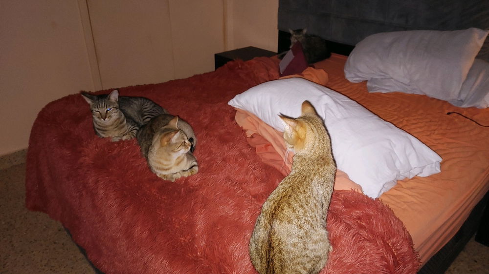 Sleepy time