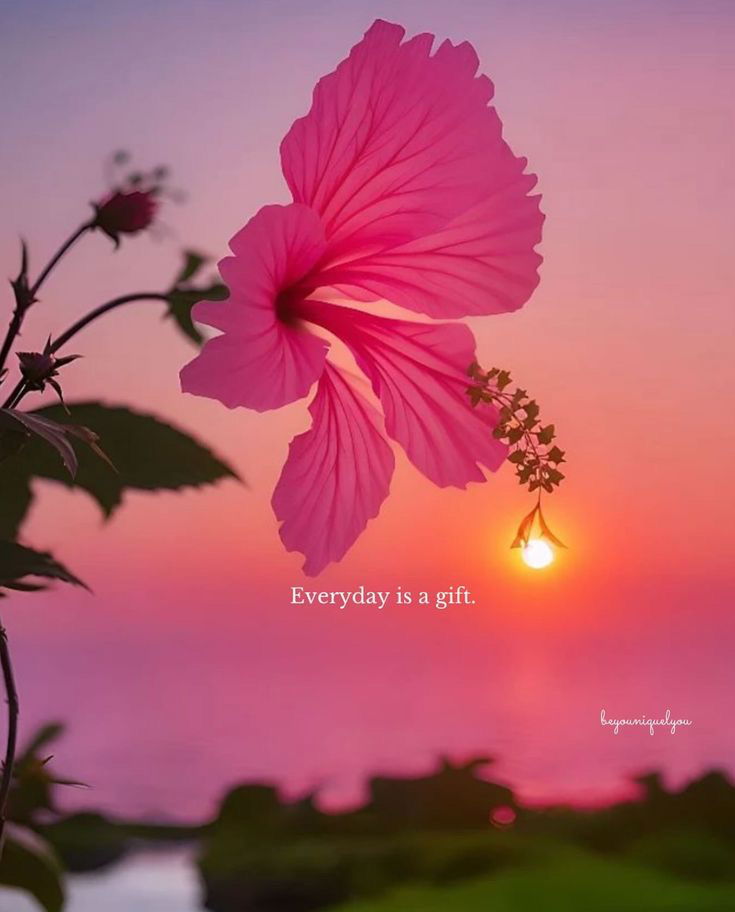 Gift