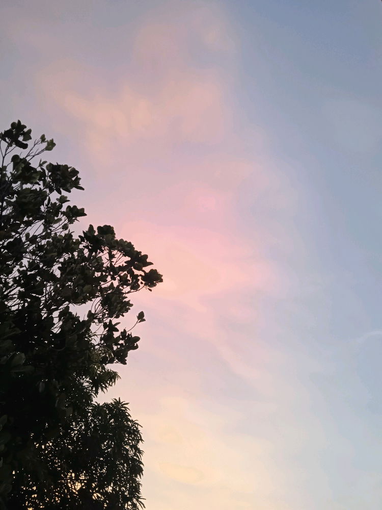Colors.