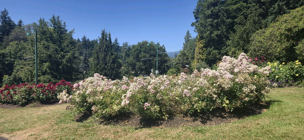 I love flowers