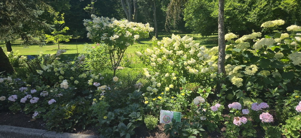 I love flowers