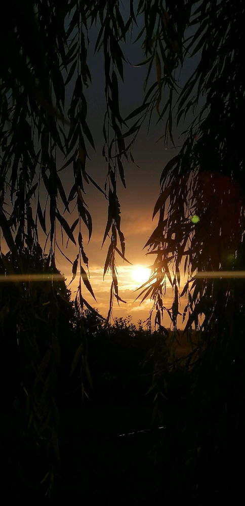 Dobrý ráno 🌞