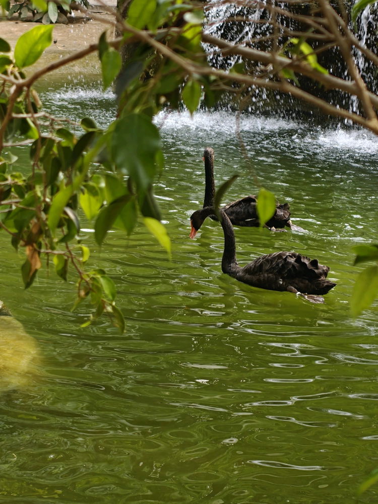 Nature