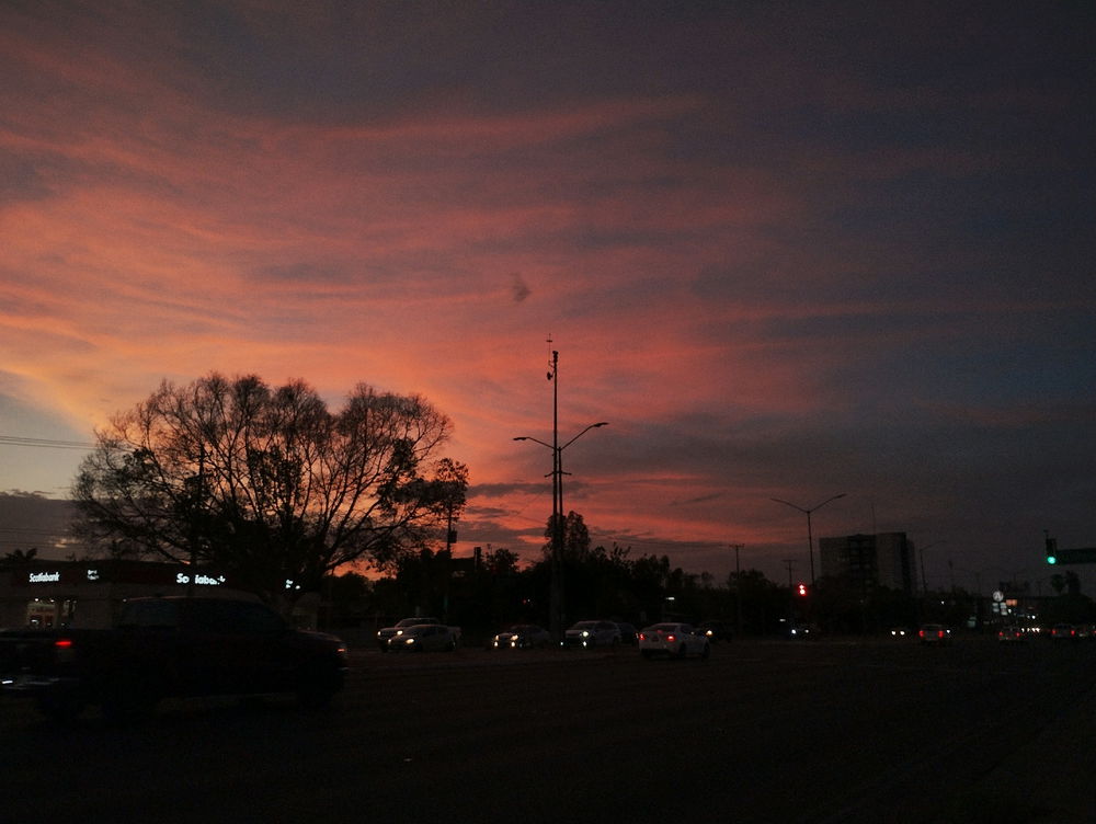 🌇