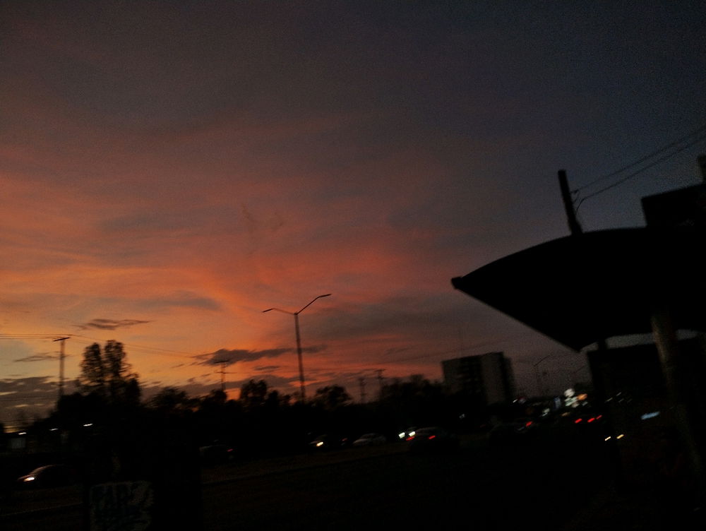 🌇