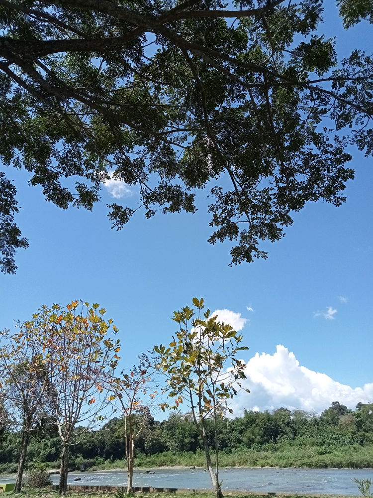 🌱❤️