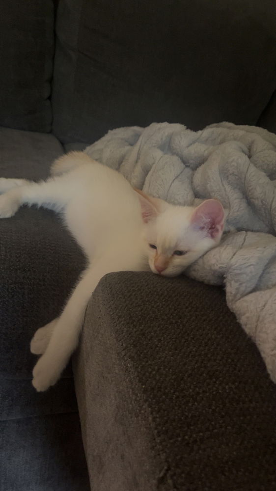 ❤️