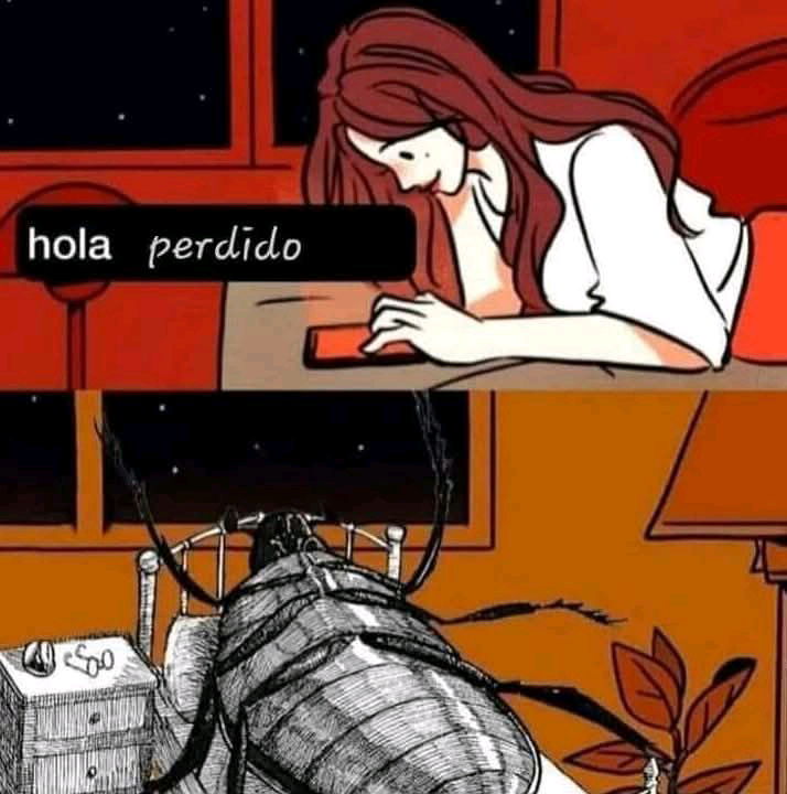 Jajajajaja