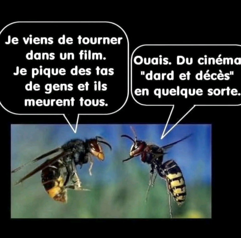 La réplique piquante