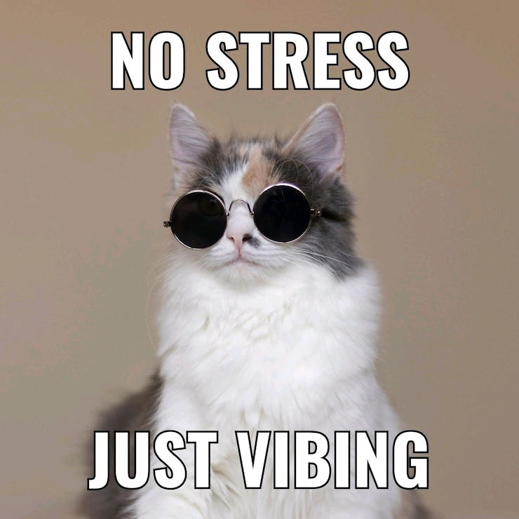 😺